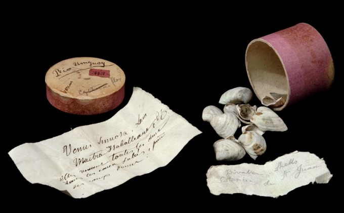 Кутии за апчиња кои содржат фосили собрани од Дарвин за време на неговите патувања на HMS Beagle.